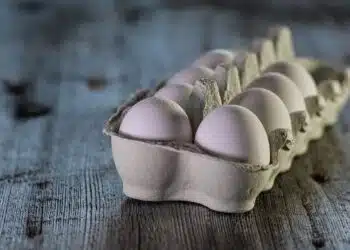 яйца