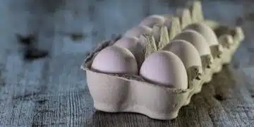 яйца