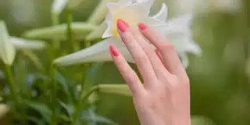 нокти