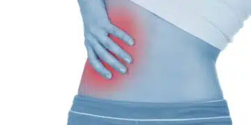 бъбреци