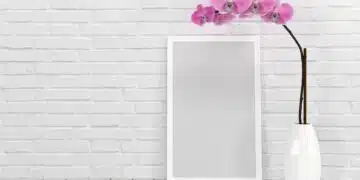 орхидея