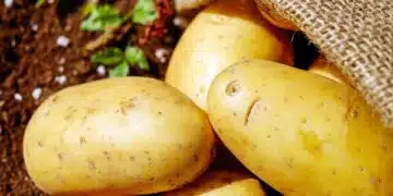 картофи