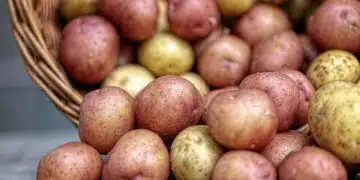 картофи