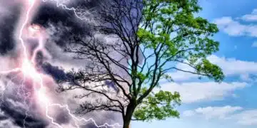 НИМХ предупреди, че България се разделя на две половини - в едната хубаво време, в другата.. 5