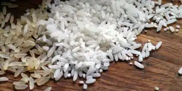 ориз
