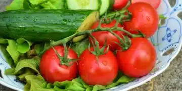 краставици и домати