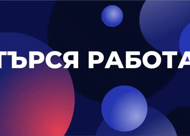 Това ще са най-търсните работни позиции от шефовете през следващите 12 месеца 1