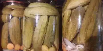 Ако страдате от болки в бъбреците, не яжте тези 6 храни 8