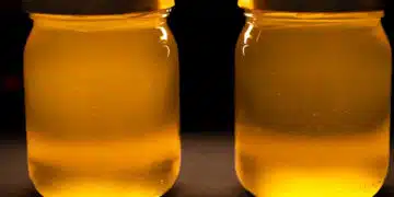 Ето как сами да си приготвите полезното масло гхи по грузинска рецепта 2