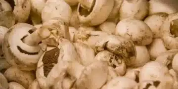 Вижте тайната за перфектния гъбен сос - става лесно и го правя за всякакви ястия 10