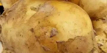 Ще се изненадате колко полезни могат да са картофите за кожата на лицето 6