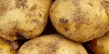Яжте картофи, за да отслабнете 8