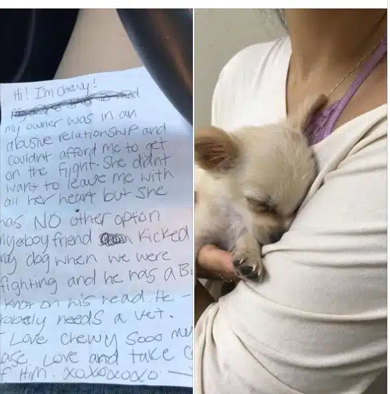Жена, която е станала жертва на тормоз изоставя своето кученце в тоалетна на летището със съобщение 1