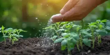 Ето как да ускорите растежа на растенията си лесно и безопасно 4