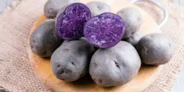 Не мога да повярвам, че това са ярки сортове картофи – много красиви и вкусни! 1