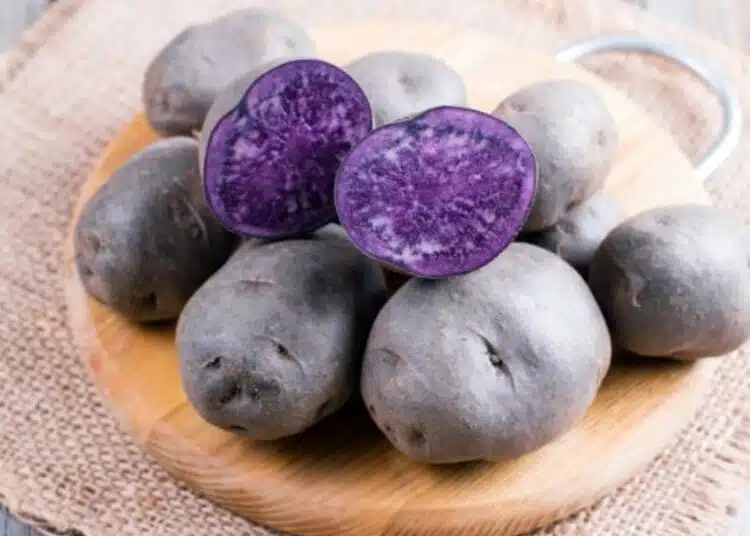 Не мога да повярвам, че това са ярки сортове картофи – много красиви и вкусни! 1