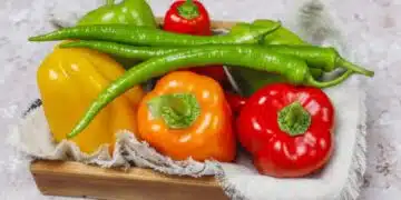 Ето кои са най-благоприятните дати за сеитба на чушки според лунния календар за 2024г. 12