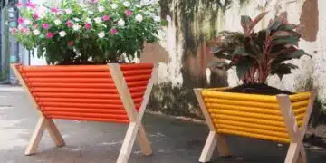 саксии