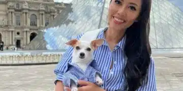 Чихуахуа инфлуенсър живее супер луксозен живот – отсяда в 5 звездни хотели, ходи със скъпарски пуловери 2