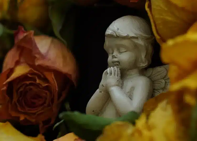 angel