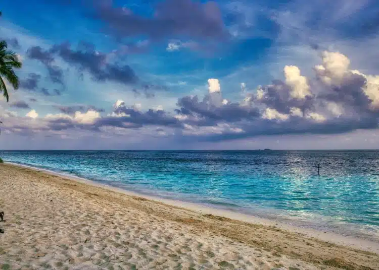 beach