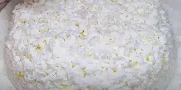 Постояно я правя: вкусна салата „Бяла нива“, с която посрещам Великден 7