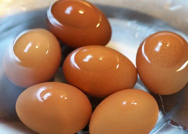 eggs