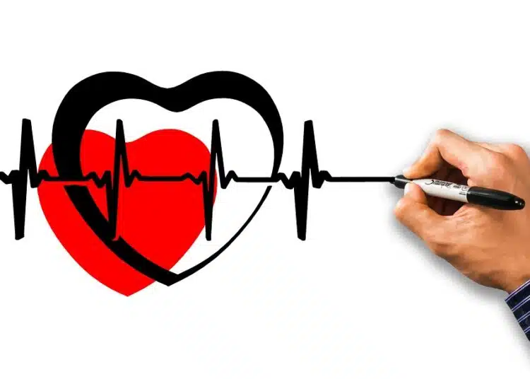 heart