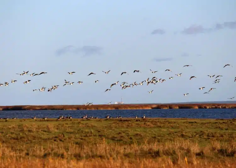 Какво би станало, ако Земята наистина беше плоска? 1 nature-reserve