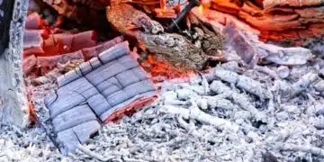 Ще им навредите: На кои растения Не трябва да слагате пепел 7