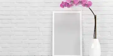 орхидея