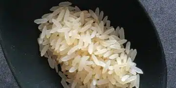 ориз