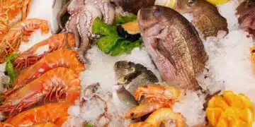 seafood