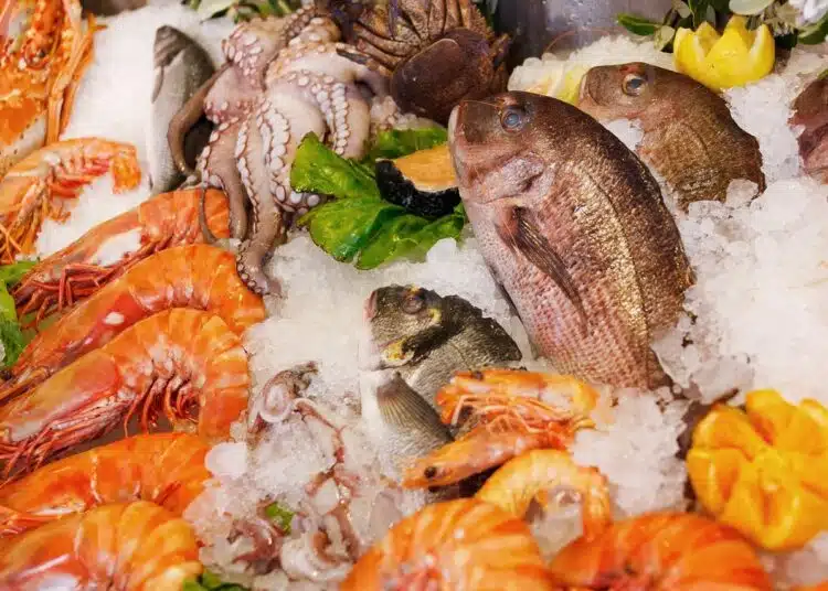 seafood