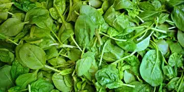 spinach