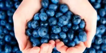 Кои продукти е необходимо да хапвате, за да забавите стареенето 9