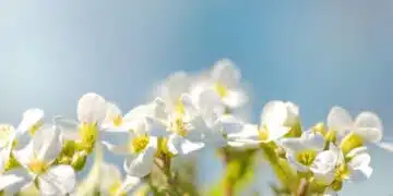 Направете този тест и разберете кой пролетен месец ще бъде най-успешен за Вас и какво още Ви предстои 7