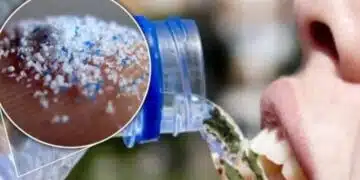 Учени намериха начин как да пречистят водата от микропластмаса при това без сложни устройства 1