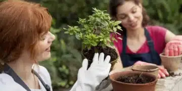 Ето защо трябва да засадите семена с помощта на вряла вода 12