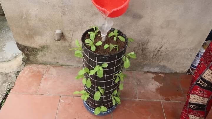 Уникален метод за отглеждане на билки и салатки дори да нямаш градина или двор! 10