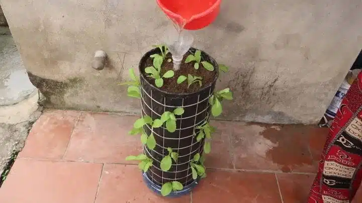 Уникален метод за отглеждане на билки и салатки дори да нямаш градина или двор! 5