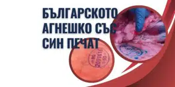 Великден и Гергьовден наближават – родното агнешко месо на пазара е със син печат, червен значи внос! 2