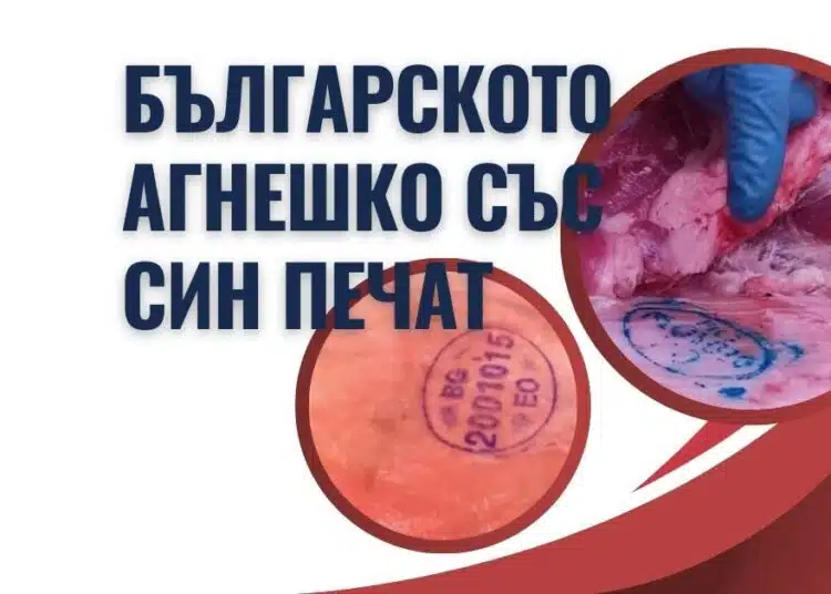 Великден и Гергьовден наближават – родното агнешко месо на пазара е със син печат, червен значи внос! 1