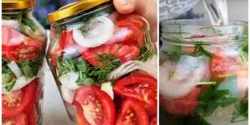 tomatoes