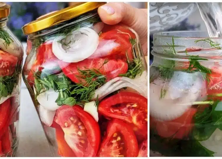 tomatoes
