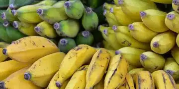 bananas