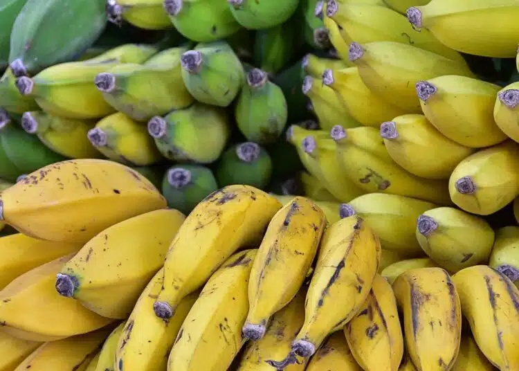 bananas