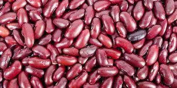 beans