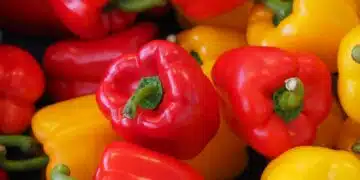 bell-peppers