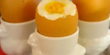 boiled-eggs